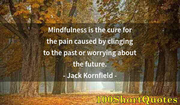 Quote by Albert Einstein: Mindfulness is the cure for the pain caused by clinging to the past or worrying about the future.