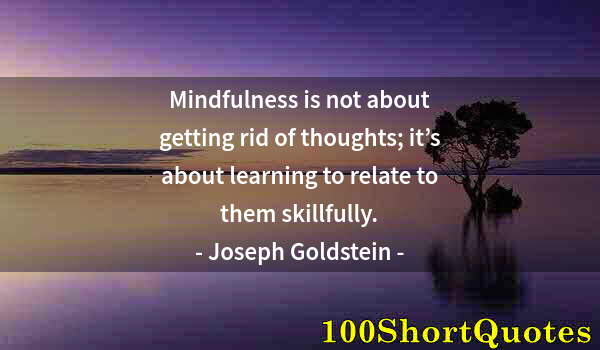 Quote by Albert Einstein: Mindfulness is not about getting rid of thoughts; it’s about learning to relate to them skillfully.