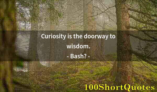 Quote by Albert Einstein: Curiosity is the doorway to wisdom.