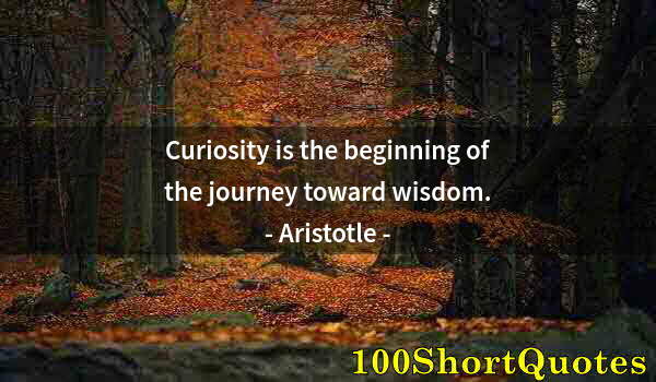 Quote by Albert Einstein: Curiosity is the beginning of the journey toward wisdom.