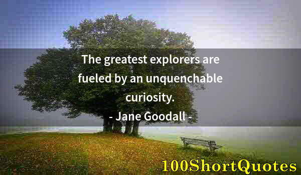 Quote by Albert Einstein: The greatest explorers are fueled by an unquenchable curiosity.