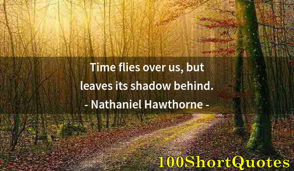 Quote by Albert Einstein: Time flies over us, but leaves its shadow behind.