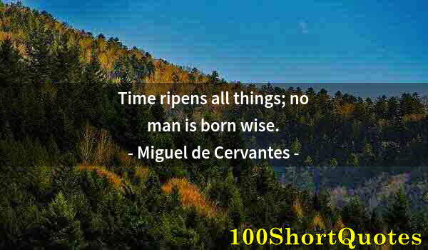 Quote by Albert Einstein: Time ripens all things; no man is born wise.