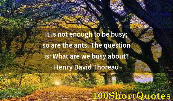 Quote by Albert Einstein: It is not enough to be busy; so are the ants. The question is: What are we busy about?