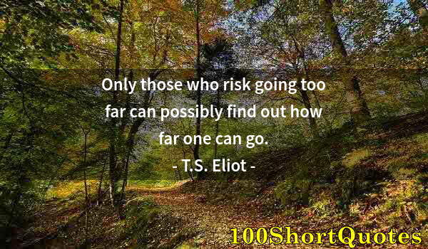 Quote by Albert Einstein: Only those who risk going too far can possibly find out how far one can go.