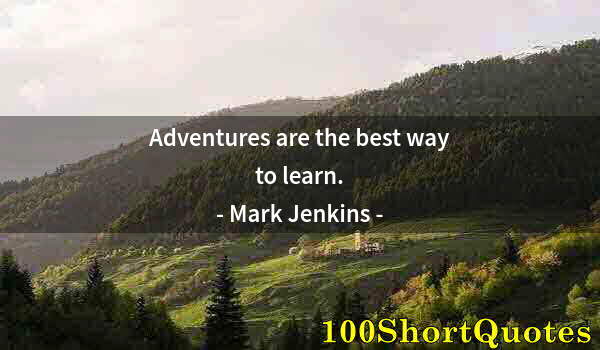 Quote by Albert Einstein: Adventures are the best way to learn.