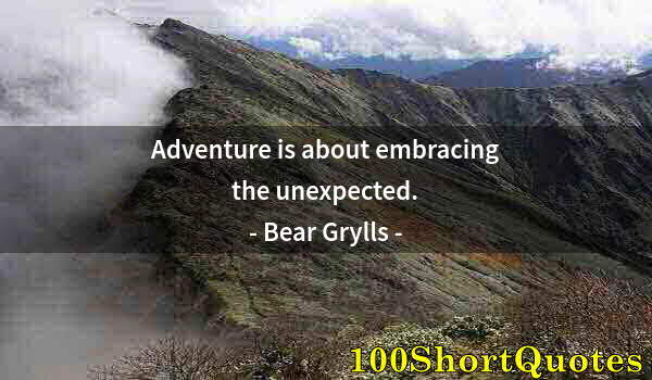 Quote by Albert Einstein: Adventure is about embracing the unexpected.