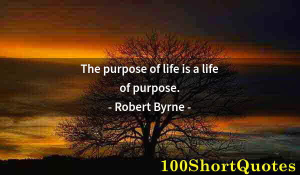 Quote by Albert Einstein: The purpose of life is a life of purpose.