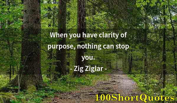 Quote by Albert Einstein: When you have clarity of purpose, nothing can stop you.