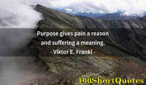 Quote by Albert Einstein: Purpose gives pain a reason and suffering a meaning.