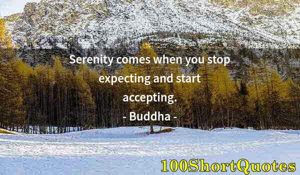 Quote by Albert Einstein: Serenity comes when you stop expecting and start accepting.