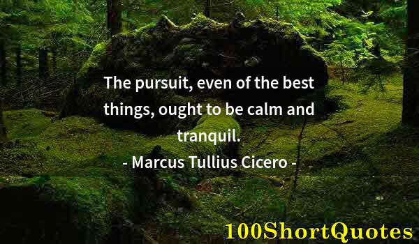 Quote by Albert Einstein: The pursuit, even of the best things, ought to be calm and tranquil.