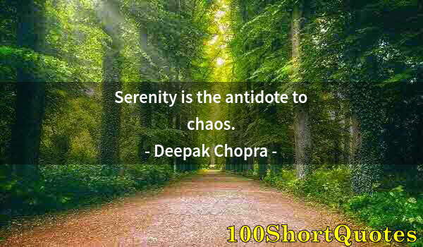 Quote by Albert Einstein: Serenity is the antidote to chaos.