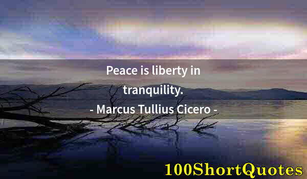 Quote by Albert Einstein: Peace is liberty in tranquility.