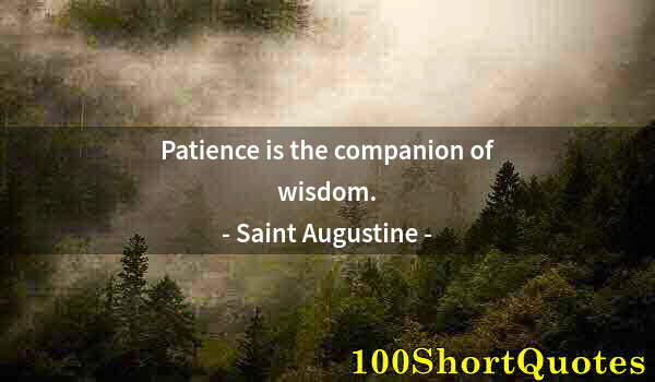 Quote by Albert Einstein: Patience is the companion of wisdom.