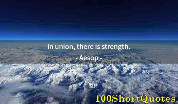 Quote by Albert Einstein: In union, there is strength.