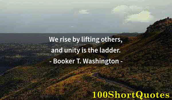 Quote by Albert Einstein: We rise by lifting others, and unity is the ladder.