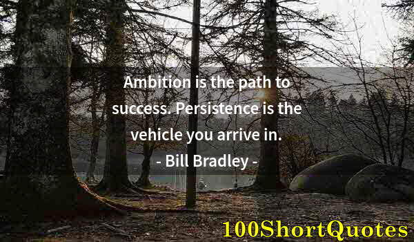 Quote by Albert Einstein: Ambition is the path to success. Persistence is the vehicle you arrive in.