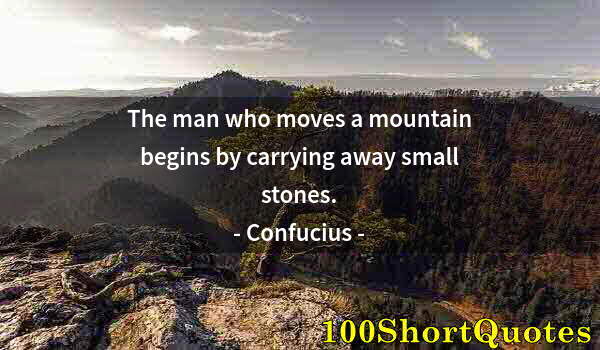 Quote by Albert Einstein: The man who moves a mountain begins by carrying away small stones.