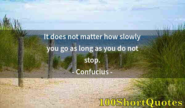 Quote by Albert Einstein: It does not matter how slowly you go as long as you do not stop.