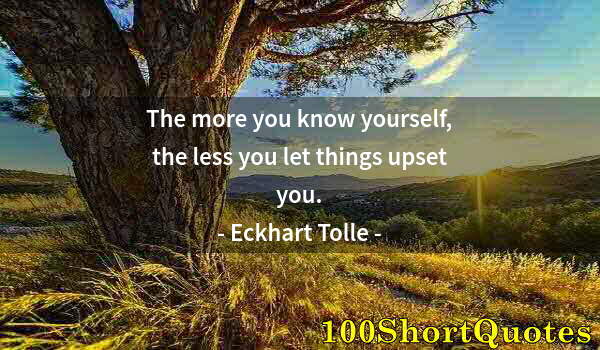 Quote by Albert Einstein: The more you know yourself, the less you let things upset you.