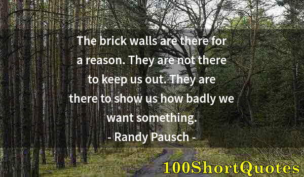 Quote by Albert Einstein: The brick walls are there for a reason. They are not there to keep us out. They are there to show us...