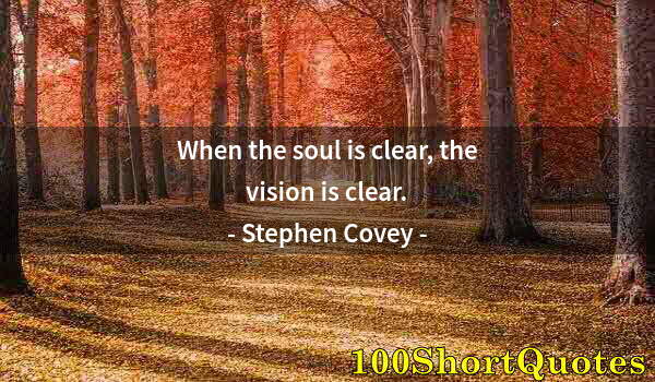 Quote by Albert Einstein: When the soul is clear, the vision is clear.