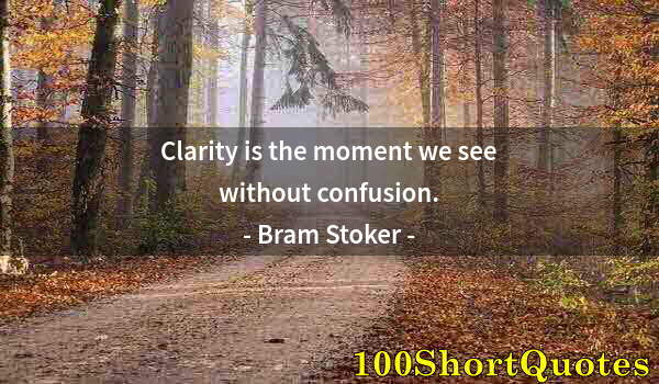 Quote by Albert Einstein: Clarity is the moment we see without confusion.