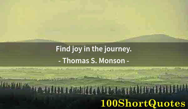 Quote by Albert Einstein: Find joy in the journey.