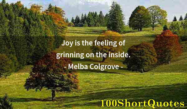 Quote by Albert Einstein: Joy is the feeling of grinning on the inside.