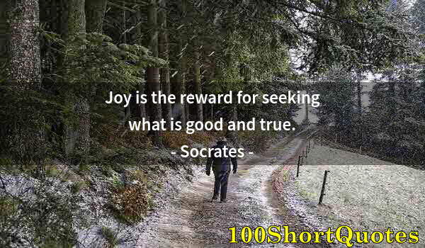 Quote by Albert Einstein: Joy is the reward for seeking what is good and true.