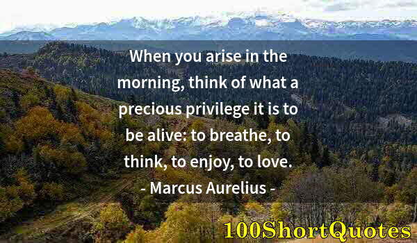 Quote by Albert Einstein: When you arise in the morning, think of what a precious privilege it is to be alive: to breathe, to ...