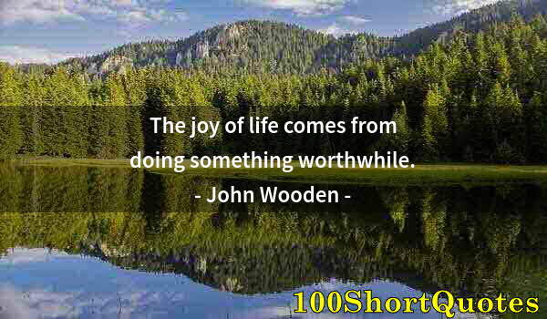 Quote by Albert Einstein: The joy of life comes from doing something worthwhile.