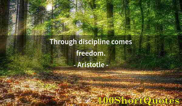 Quote by Albert Einstein: Through discipline comes freedom.