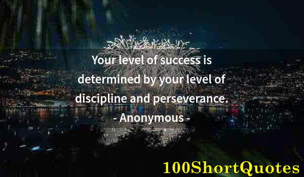 Quote by Albert Einstein: Your level of success is determined by your level of discipline and perseverance.