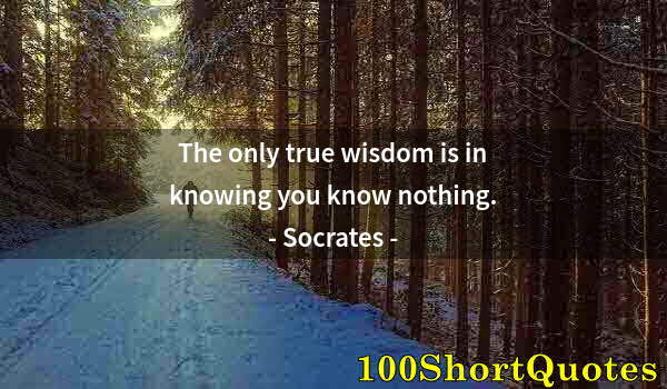 Quote by Albert Einstein: The only true wisdom is in knowing you know nothing.