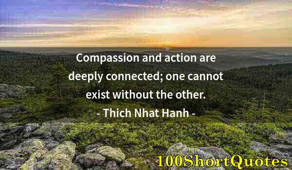 Quote by Albert Einstein: Compassion and action are deeply connected; one cannot exist without the other.