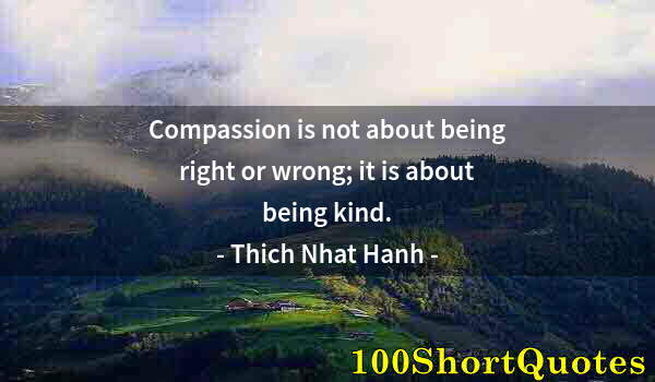 Quote by Albert Einstein: Compassion is not about being right or wrong; it is about being kind.