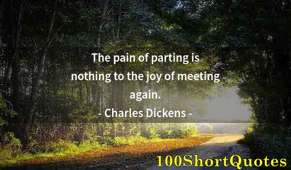 Quote by Albert Einstein: The pain of parting is nothing to the joy of meeting again.