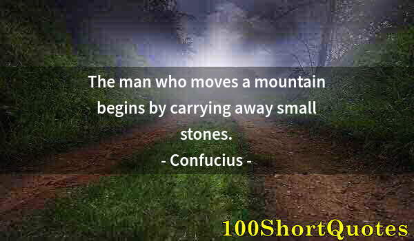 Quote by Albert Einstein: The man who moves a mountain begins by carrying away small stones.