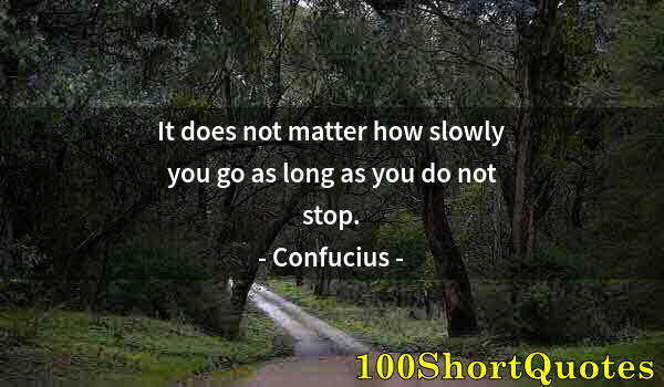 Quote by Albert Einstein: It does not matter how slowly you go as long as you do not stop.