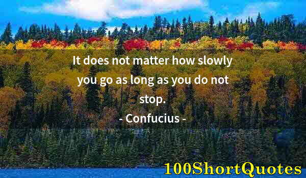 Quote by Albert Einstein: It does not matter how slowly you go as long as you do not stop.