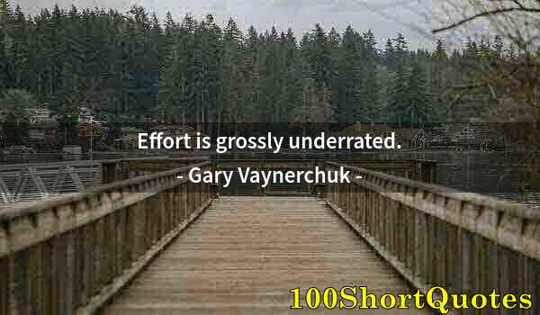 Quote by Albert Einstein: Effort is grossly underrated.