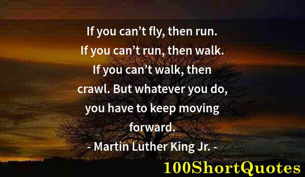 Quote by Albert Einstein: If you can’t fly, then run. If you can’t run, then walk. If you can’t walk, then crawl. But whatever...