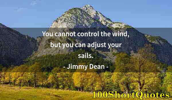 Quote by Albert Einstein: You cannot control the wind, but you can adjust your sails.