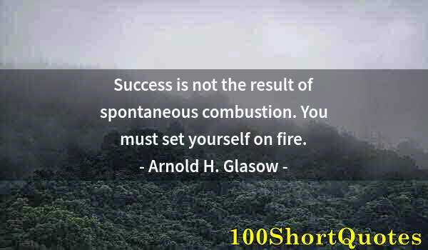 Quote by Albert Einstein: Success is not the result of spontaneous combustion. You must set yourself on fire.