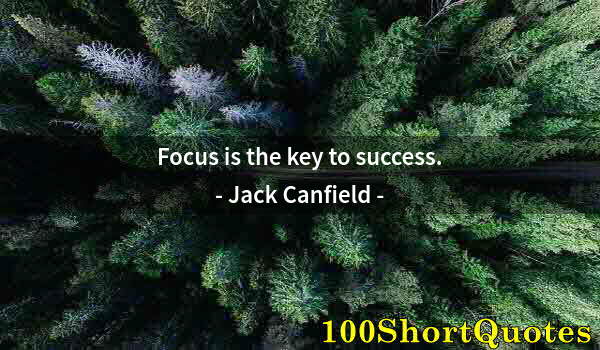 Quote by Albert Einstein: Focus is the key to success.