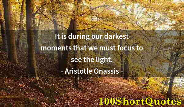 Quote by Albert Einstein: It is during our darkest moments that we must focus to see the light.