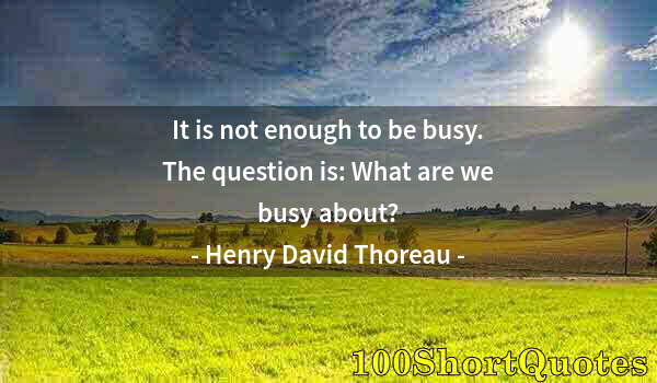 Quote by Albert Einstein: It is not enough to be busy. The question is: What are we busy about?