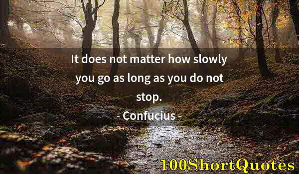 Quote by Albert Einstein: It does not matter how slowly you go as long as you do not stop.